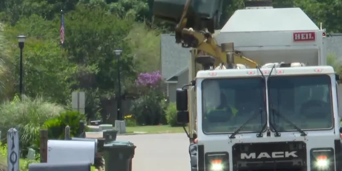 Peachtree City Council kills mandatory single-trash-carrier plan after residents pack chambers