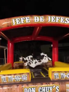 Mechanical Bull Experience