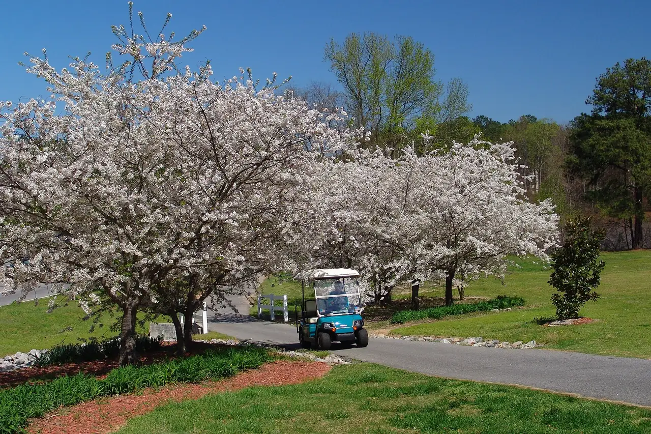 Peachtree City library hosts writers group Monday evening on Willowbend Road