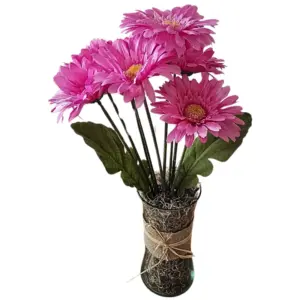 Pink Sunflower
